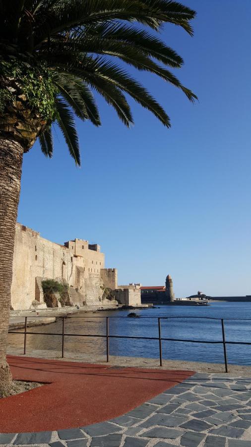 4Sap7 Appartement Avec Belle Terrasse Collioure Room photo